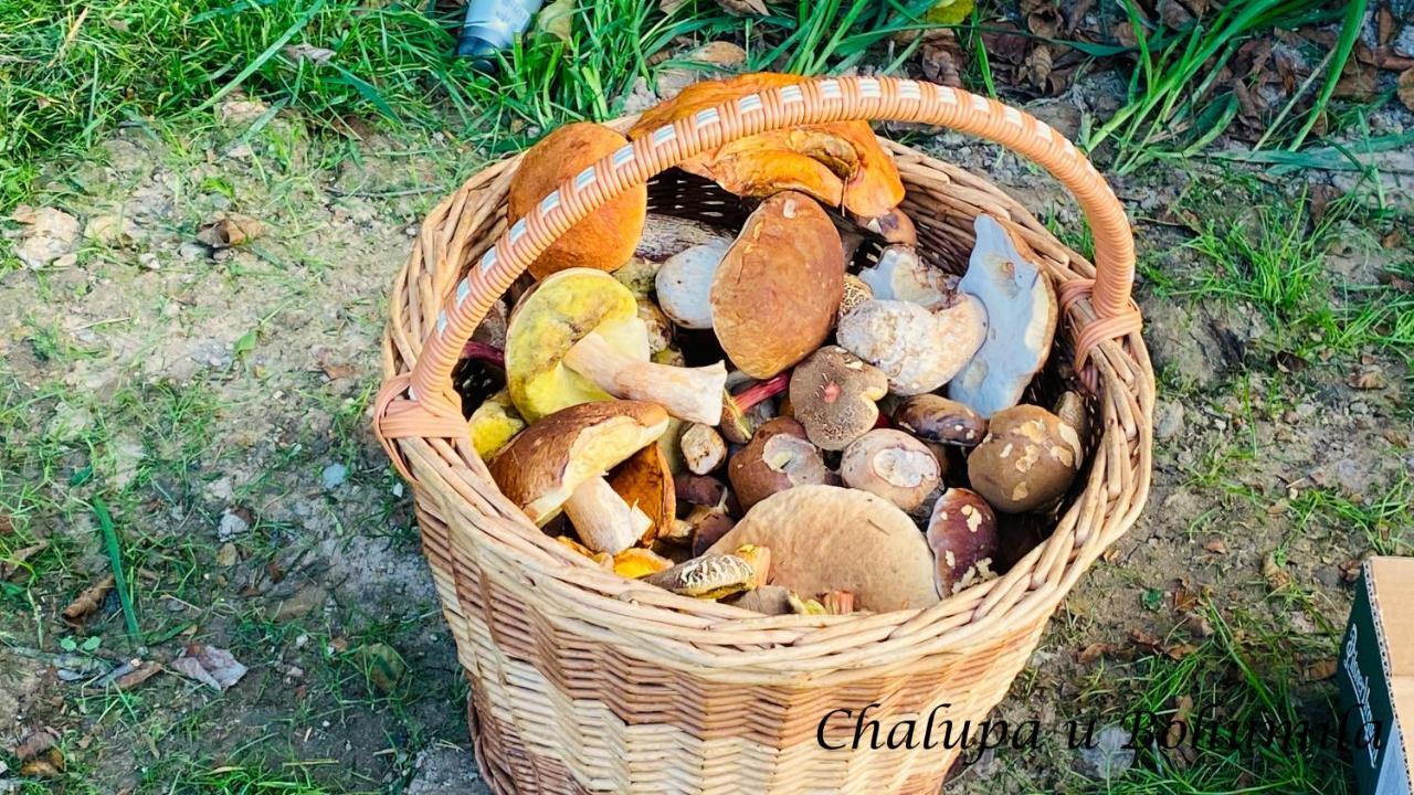 Chalupa U Bohumila Rybna nad Zdobnici 外观 照片